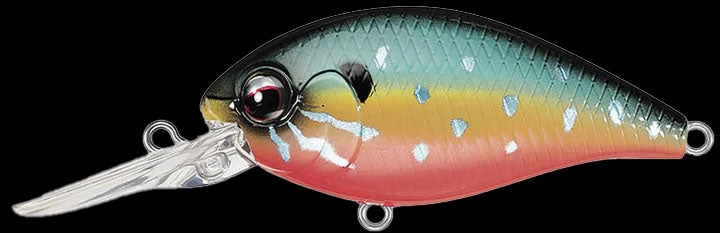 Evergreen CR Crankbaits