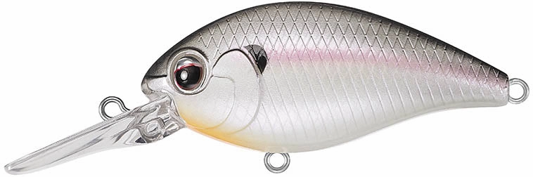 Evergreen International CR-6 Medium Diving Crankbait