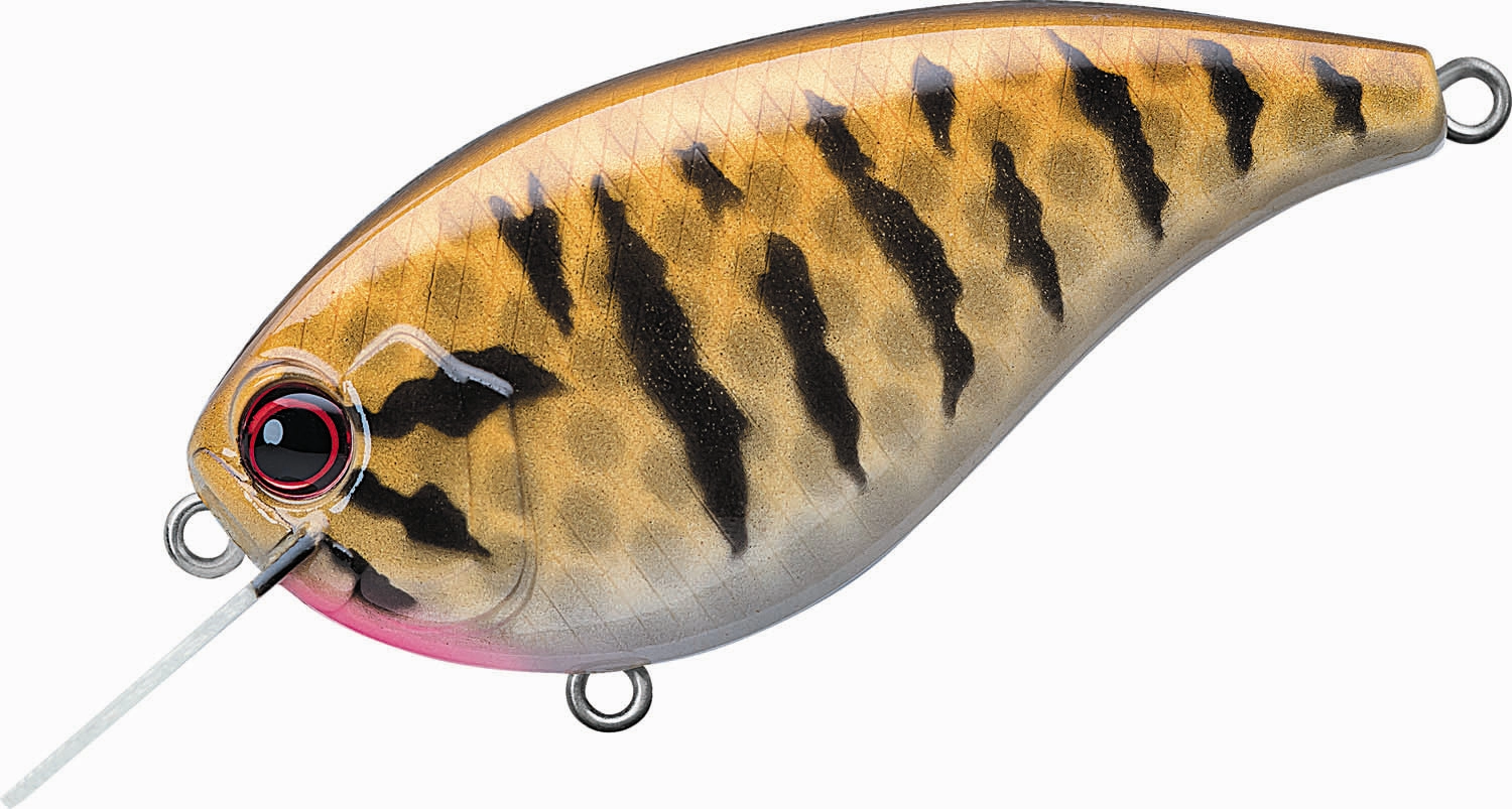 Evergreen International Flat Force 4 Flat-Sided Shallow Diving Crankbait