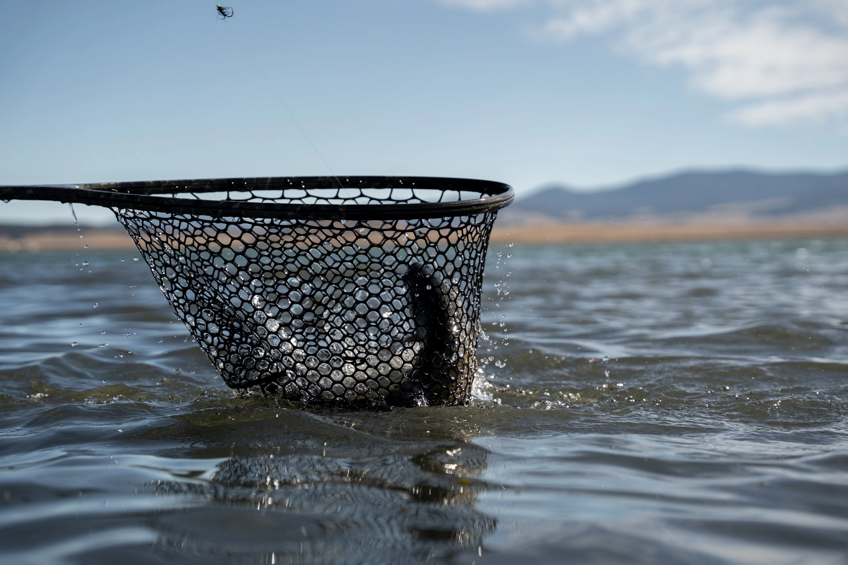 Fishpond Nomad Boat Net