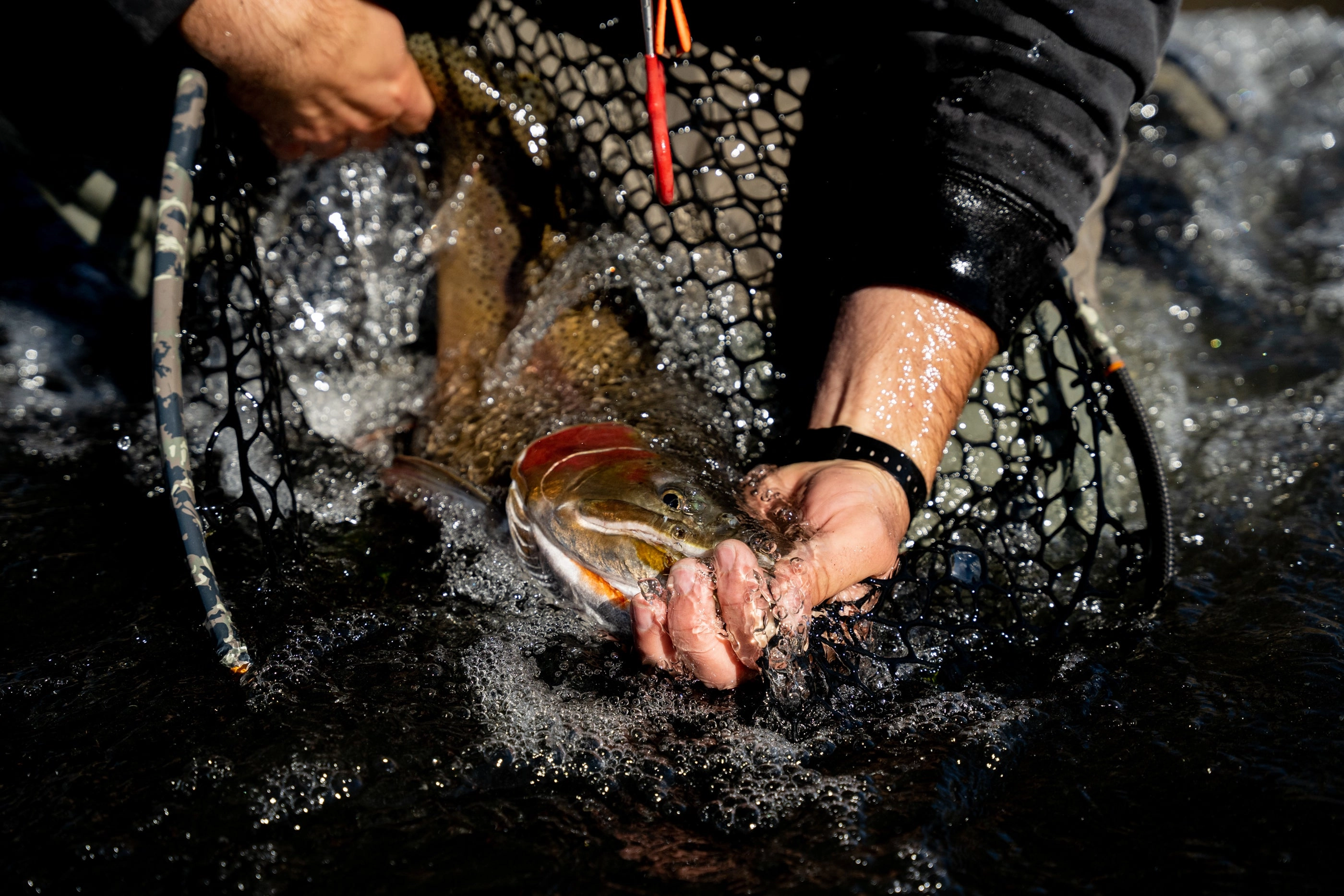 Fishpond Nomad Boat Net