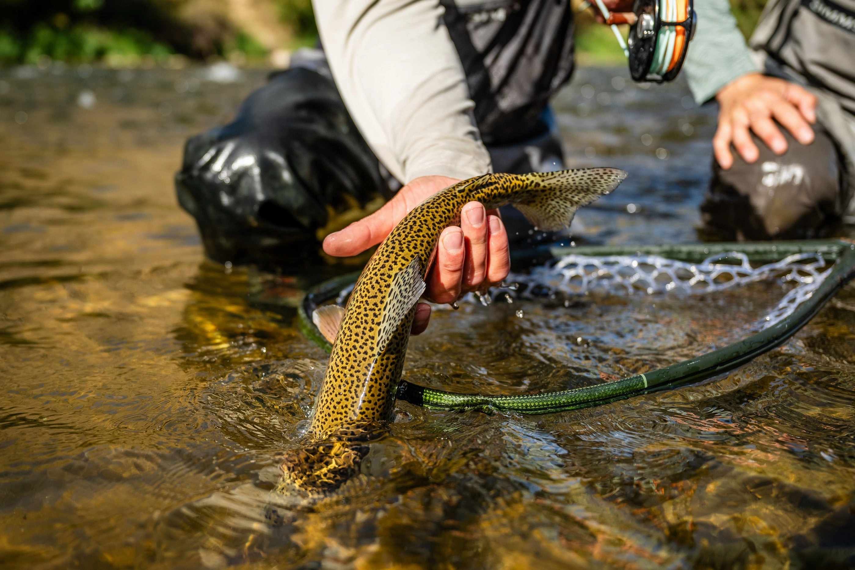 Fishpond Nomad El Jefe Grande Net