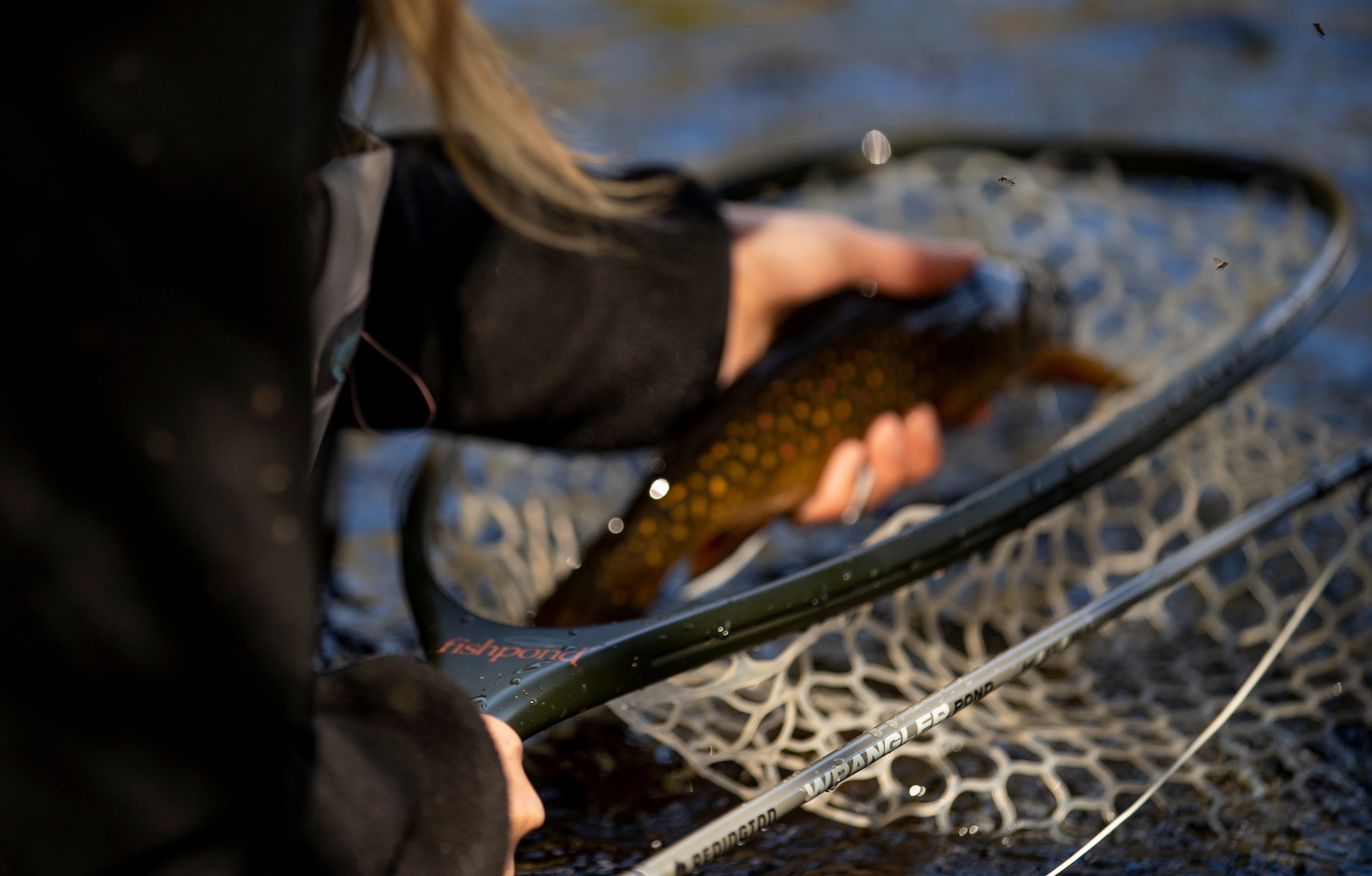 Fishpond Nomad Emerger Net