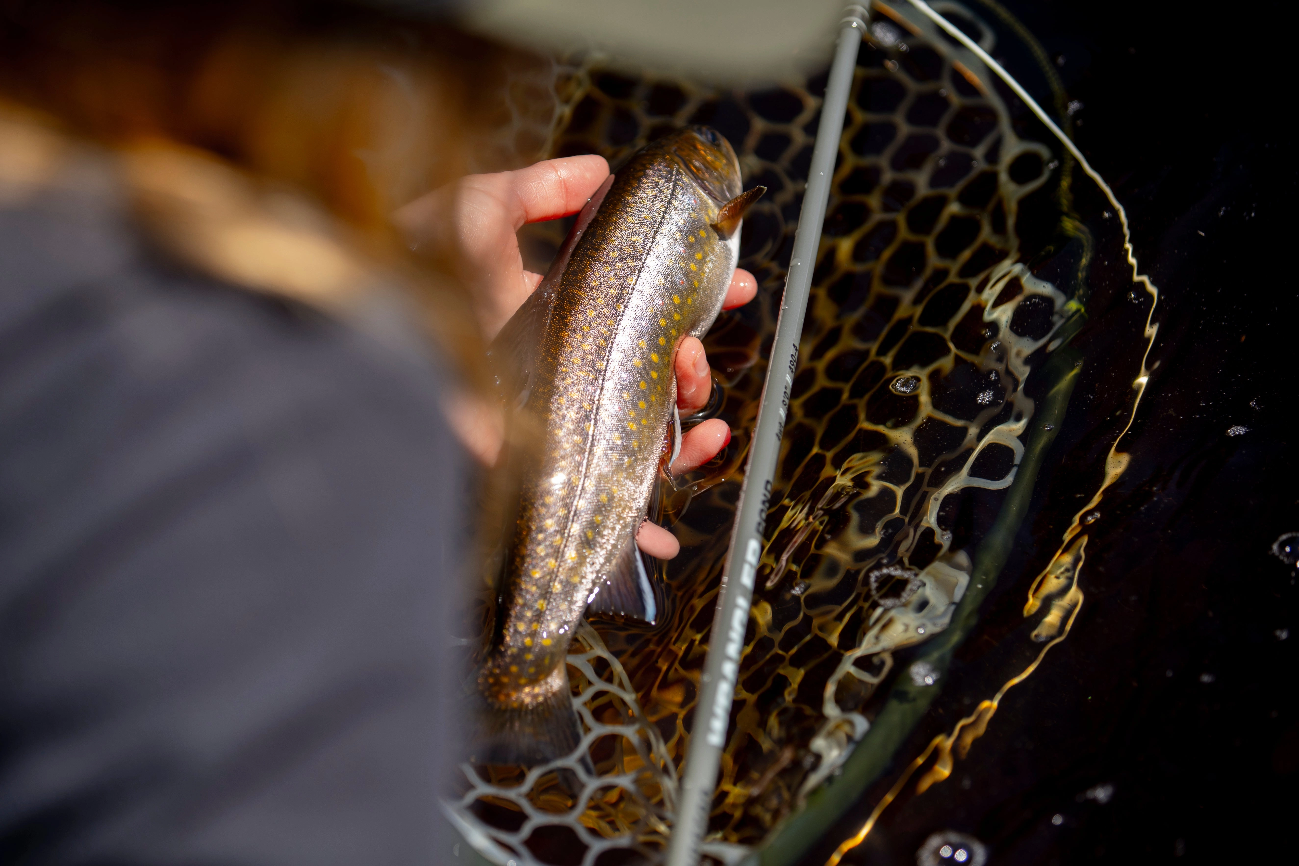 Fishpond Nomad Emerger Net