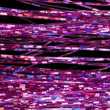 Flashabou Holographic Wapsi