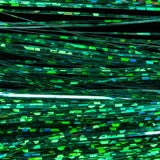 Flashabou Holographic Wapsi
