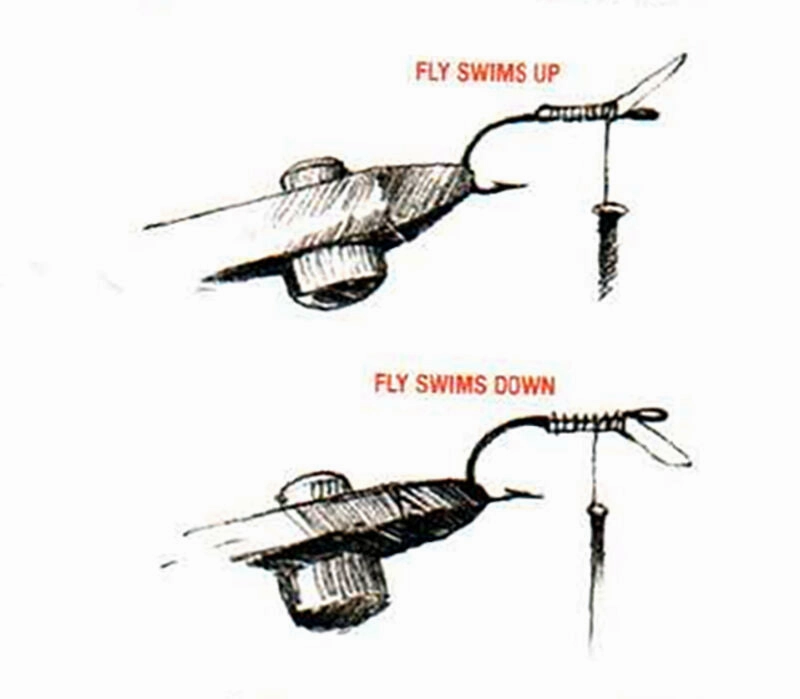 Flylipps