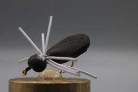 Foam Spider Dry