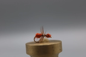 Fur Ant Dry