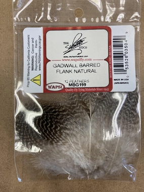 Gadwall Barred Flank