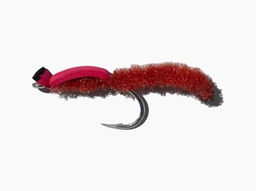 Genovesi Potter's Pond Cinder Worm
