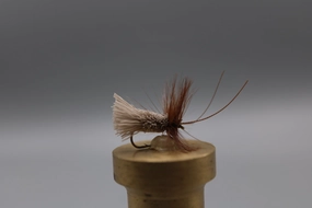 Goddard Caddis Dry