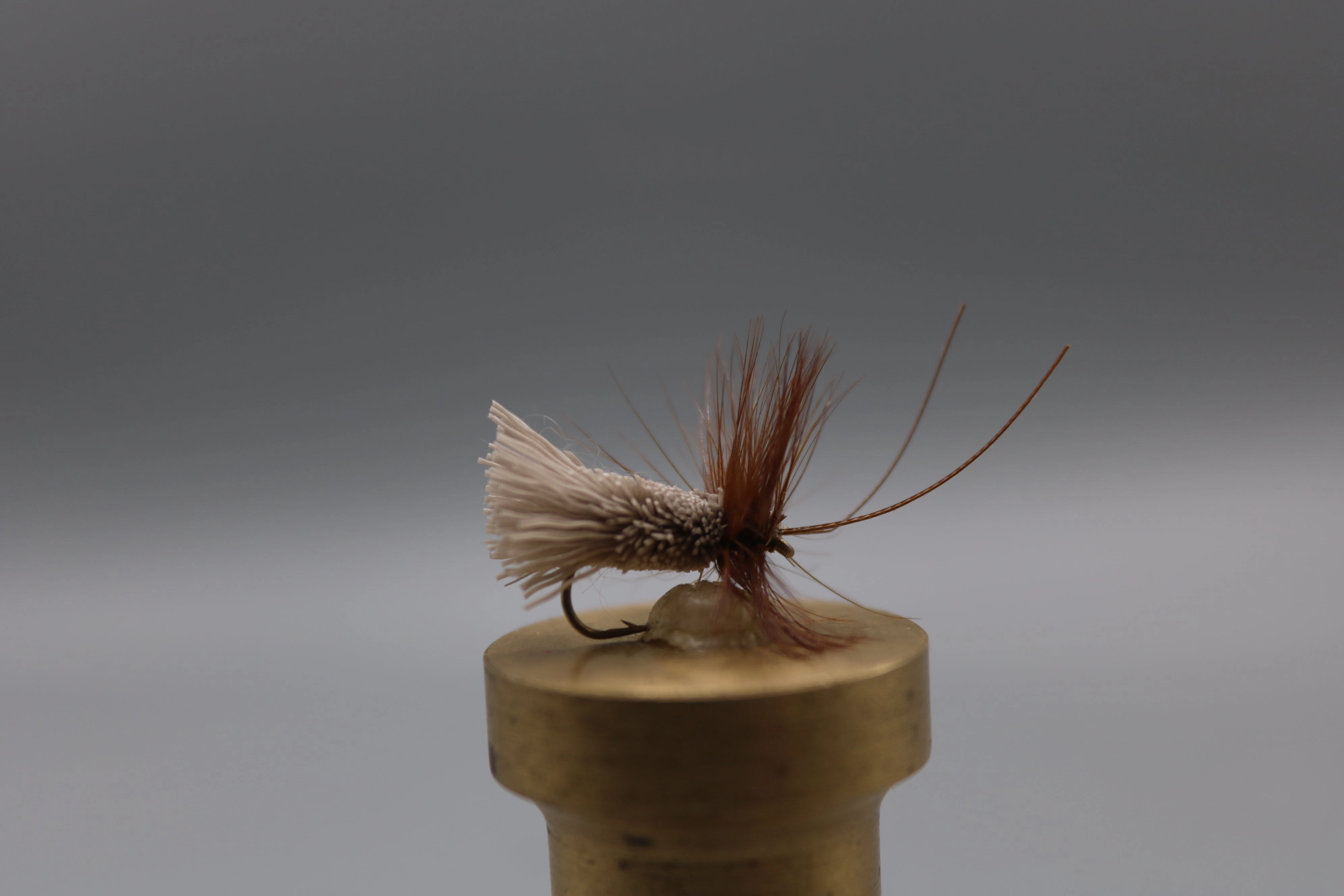 Goddard Caddis Dry