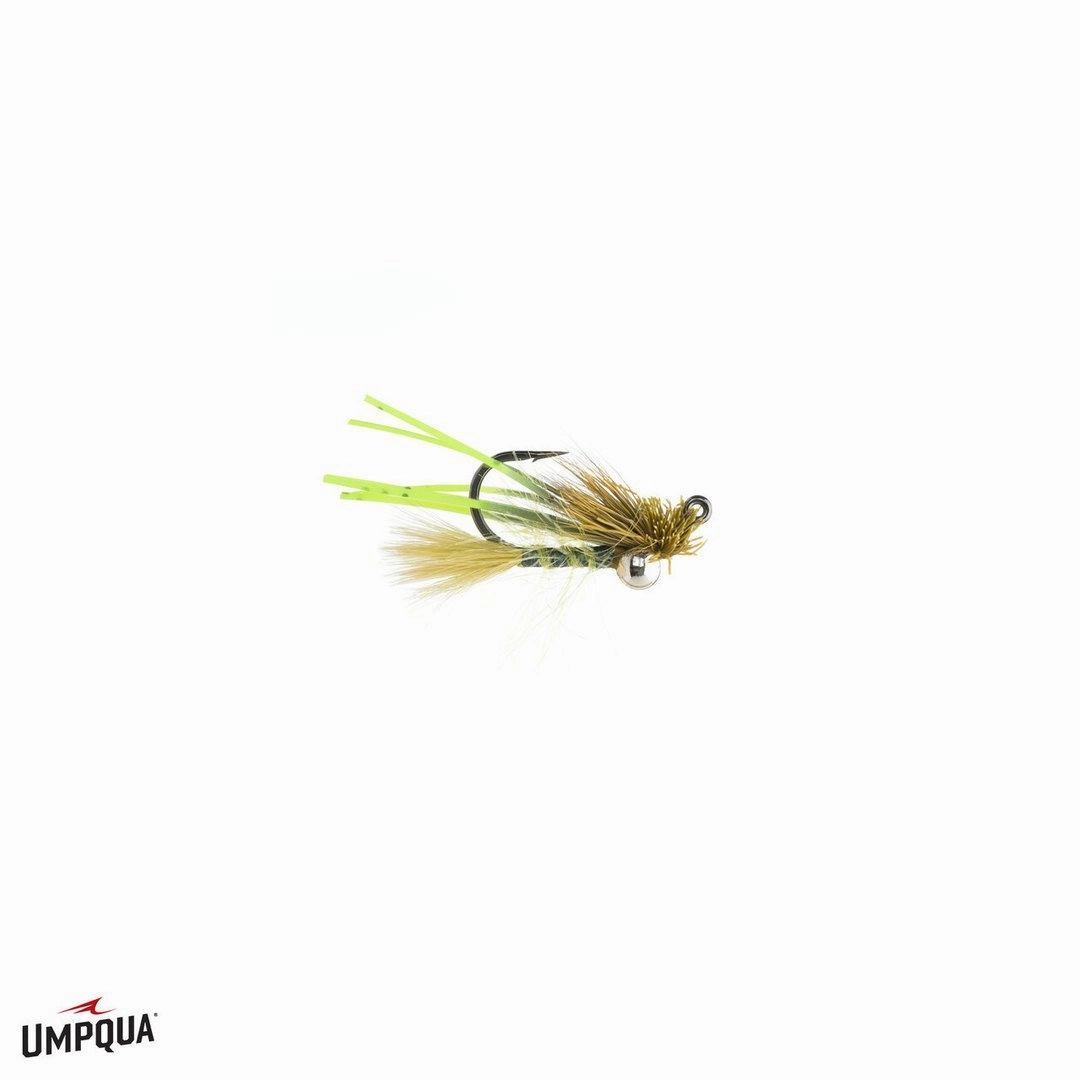 Great Carpholio Jig