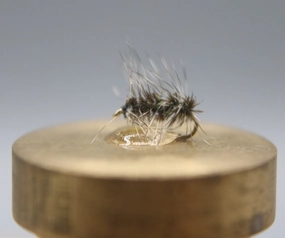 Griffiths Gnat Dry