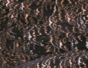 Grouse Body Plumage 2G - Veniard