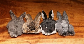 Hareline Bunny Mask Natural