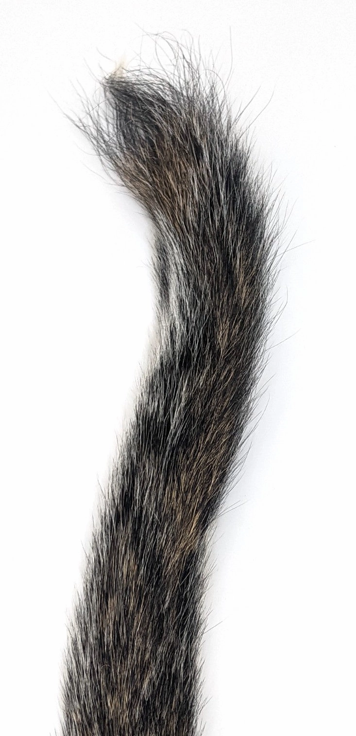 Hareline Gray Squirrel Tail