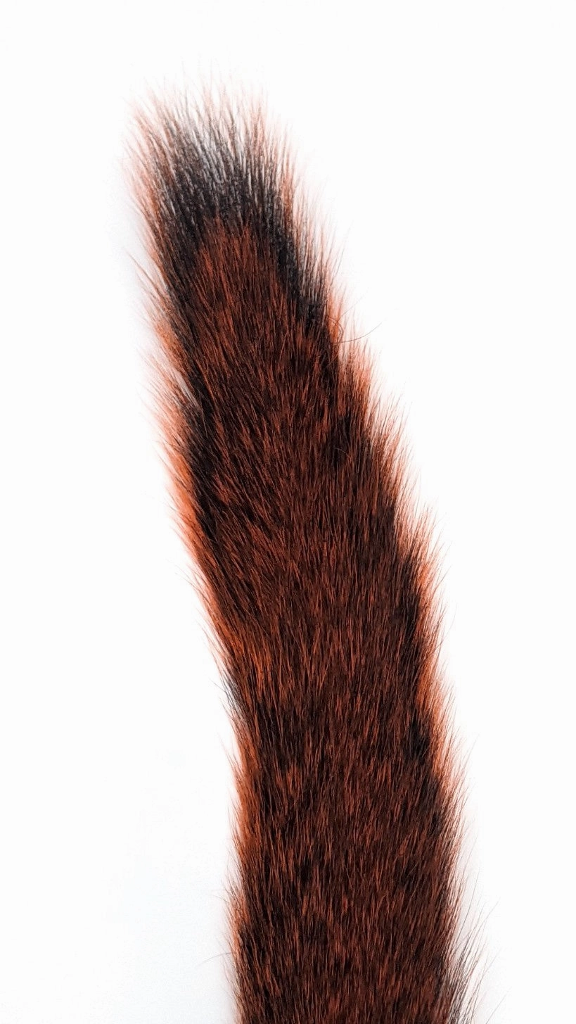 Hareline Gray Squirrel Tail