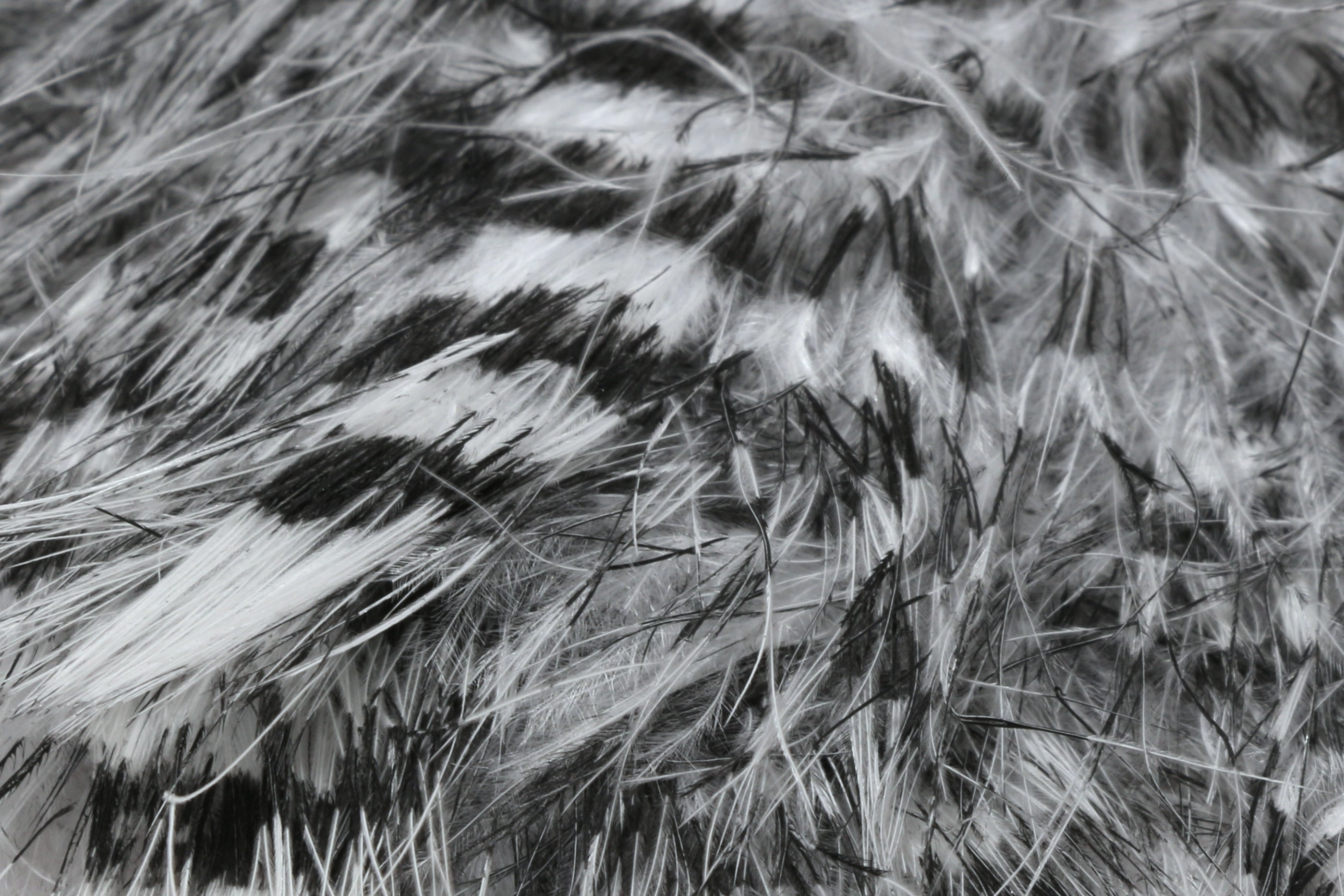 Hareline Jailhouse Marabou