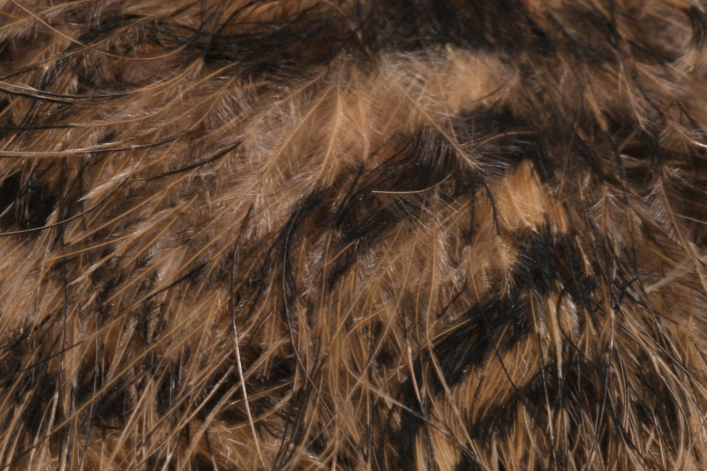 Hareline Jailhouse Marabou