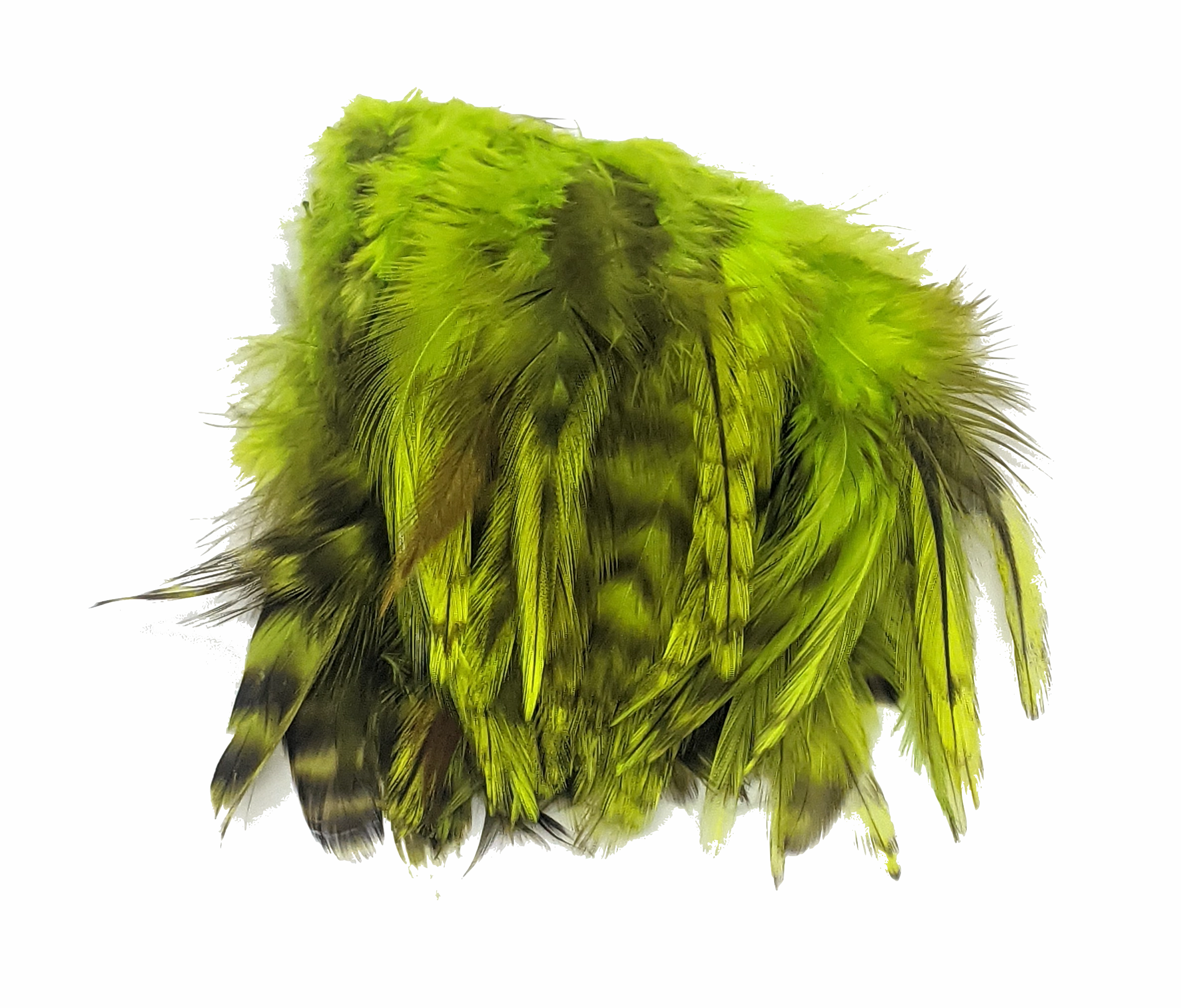 Hareline Strung 4-6 inch Grizzly Variant Saddle Hackle