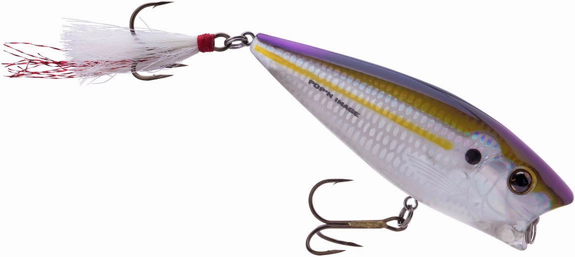 Heddon Pop'n Image 3 inch Topwater Popper