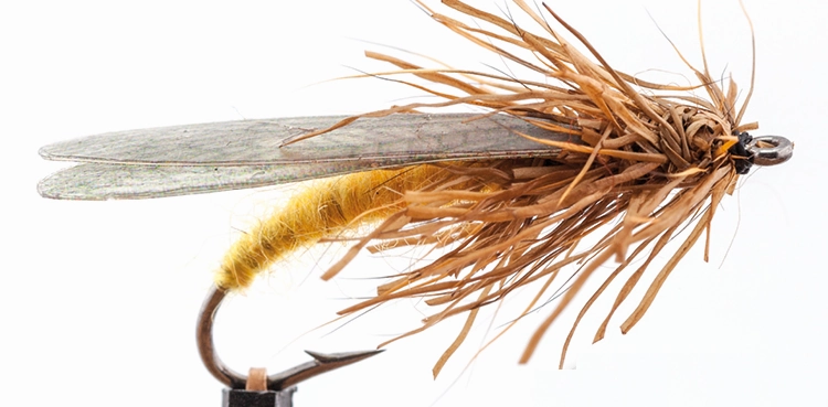 Hemingway Realistic Stonefly Wings