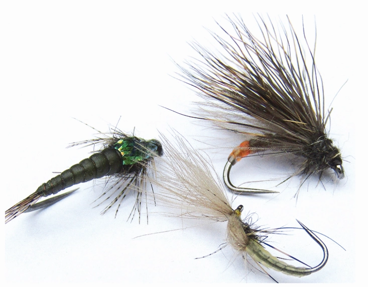 Hemingway's Bug Flesh