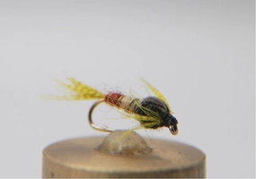 Hendrickson Nymph