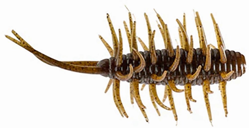 HIDEUP Coike Medium Shrimp - 3 Inch