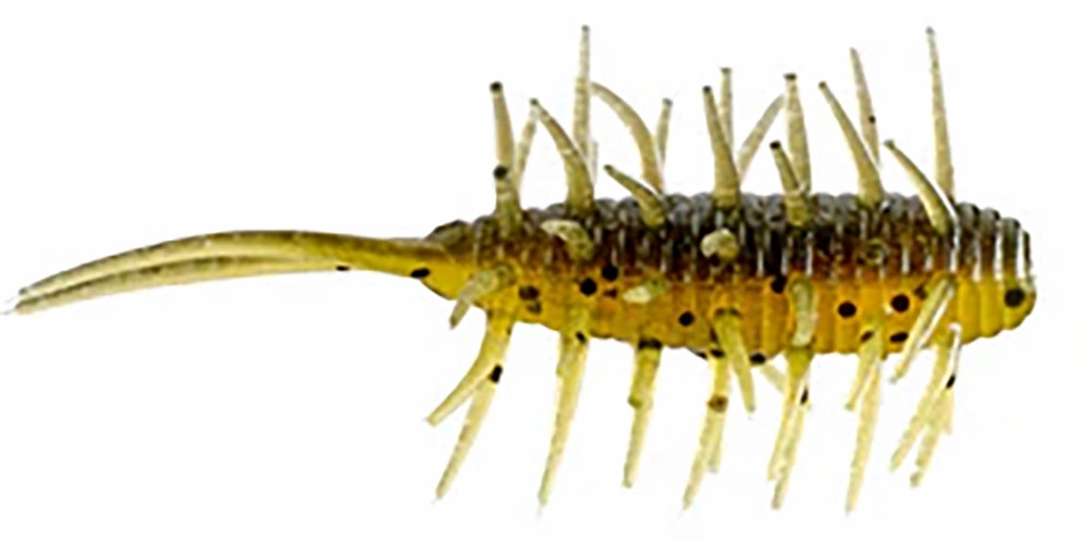 HIDEUP Coike Shrimp - 2.5 Inch