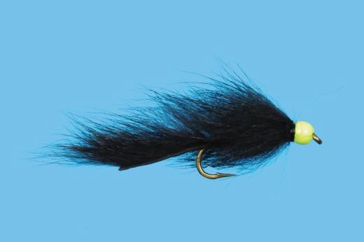 Hot Head Pine Squirrel Leech
