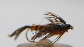 Isonychia Nymph