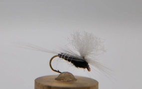 Isonychia Parachute Dry