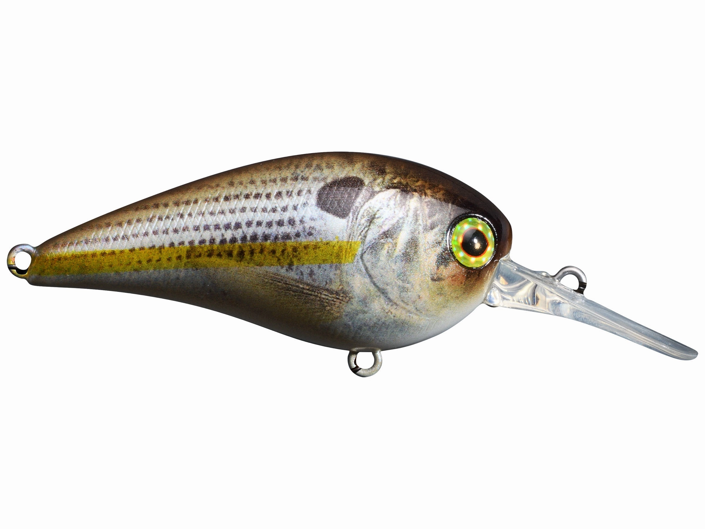 Jackall MC60 MR Medium Diving Crankbait