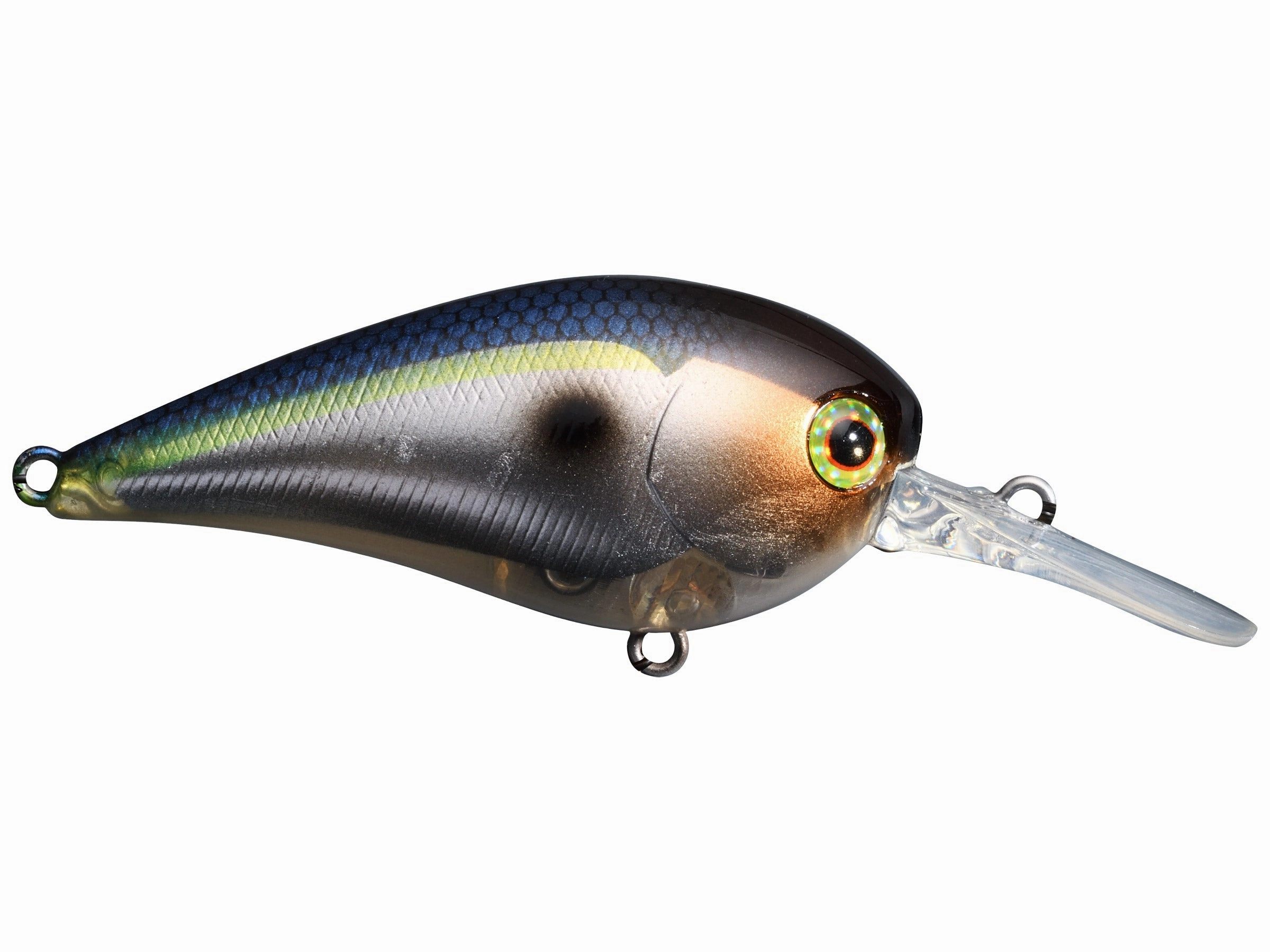 Jackall MC60 MR Medium Diving Crankbait