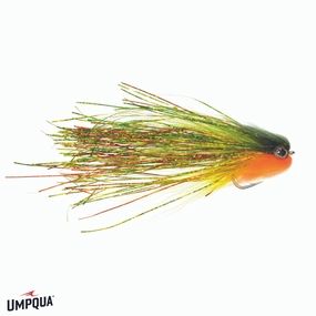Jungle Junkie Maldonado