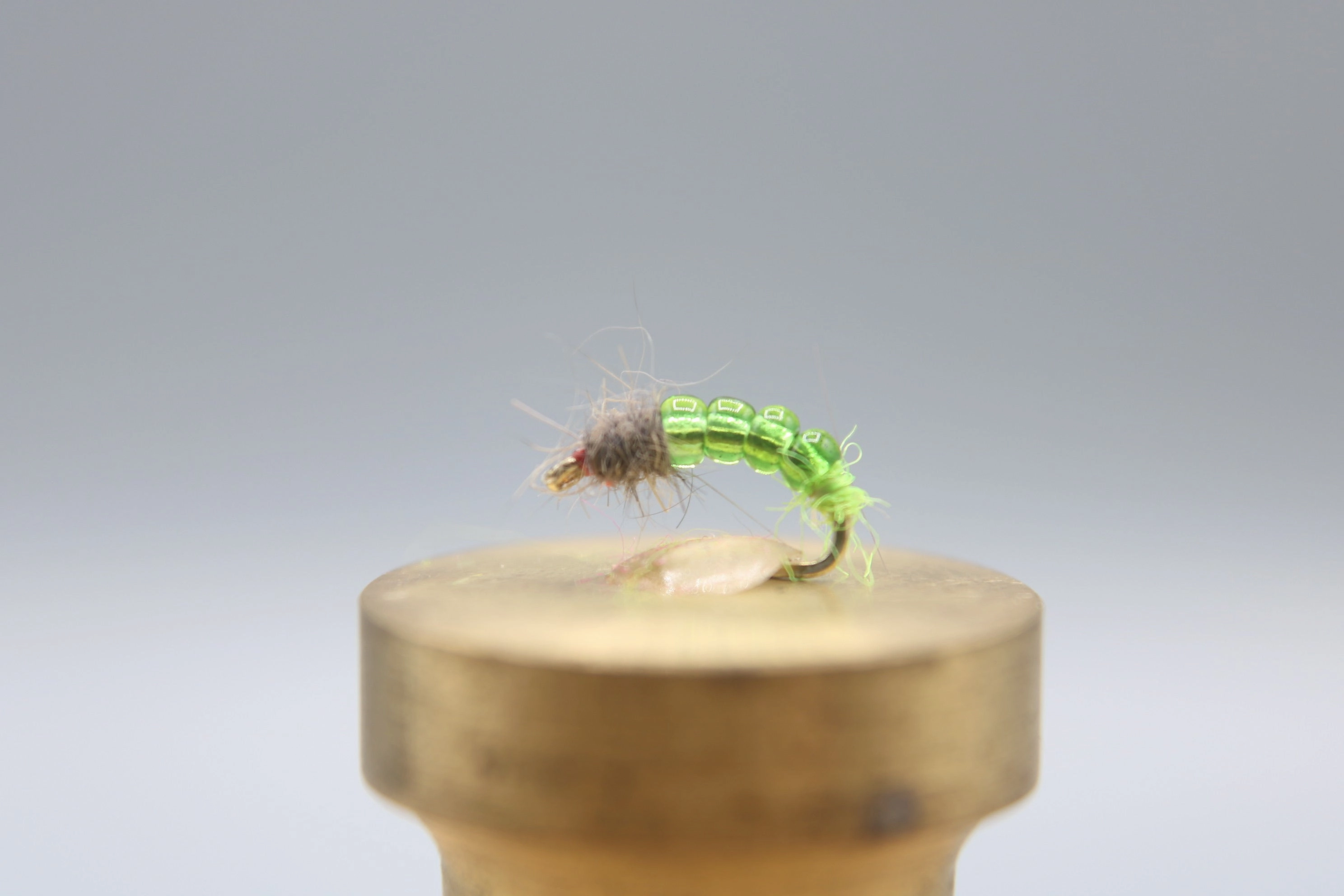 Killer Caddis