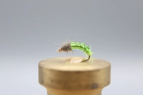 Killer Caddis