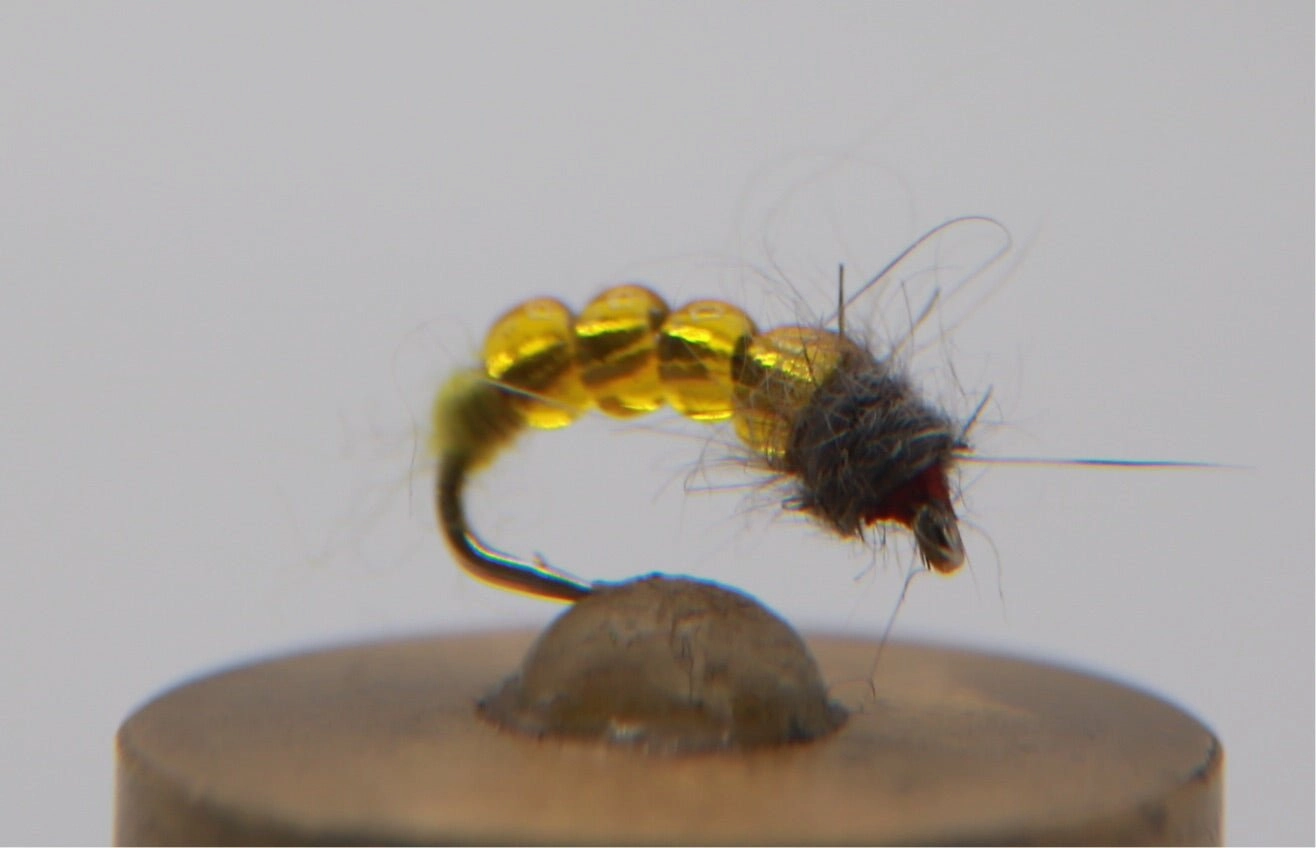 Killer Caddis