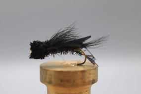 Letort Cricket - Black