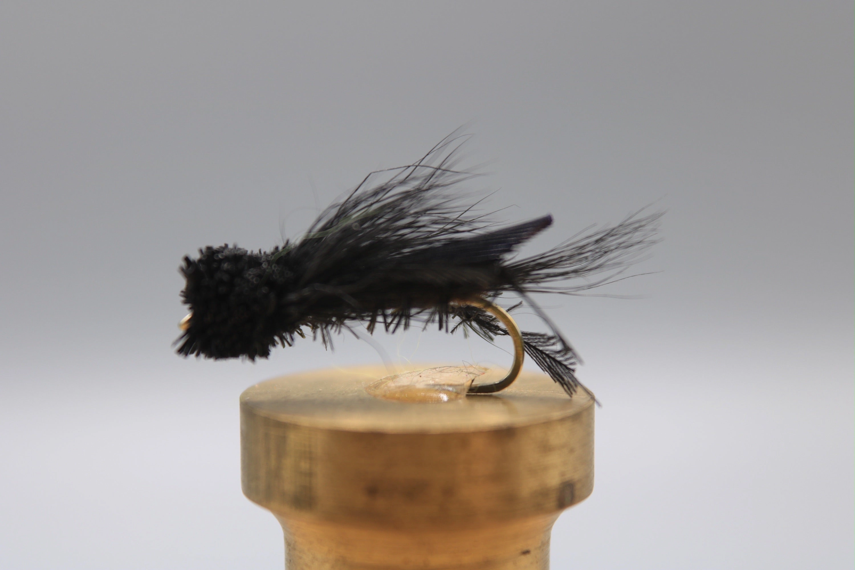 Letort Cricket - Black