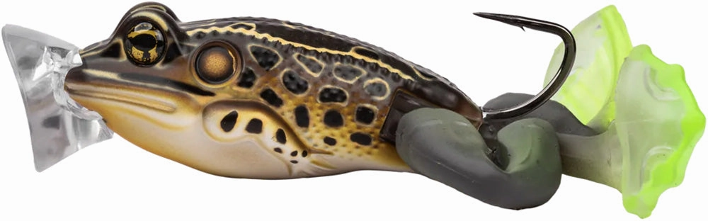 LIVETARGET Ultimate Frog Popper Bait - 2 Inch
