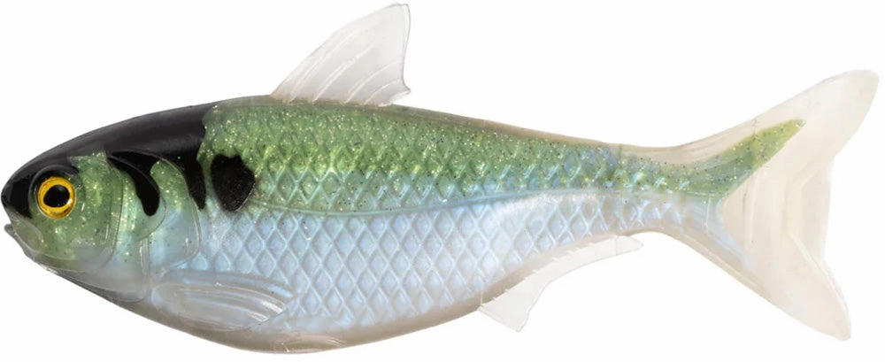 LIVETARGET Unrigged Shad - 5.5 Inch