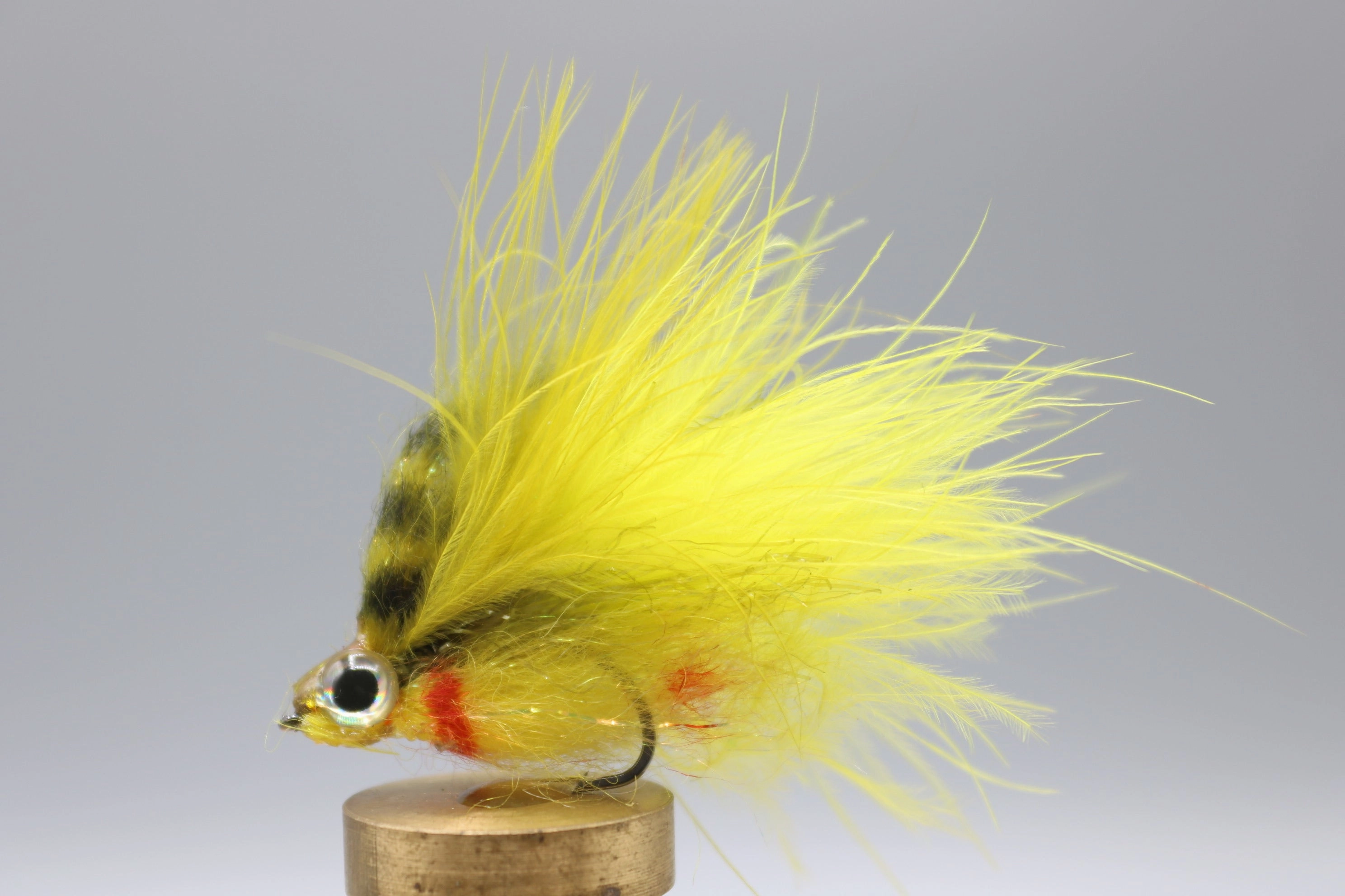 Low Fat Minnow
