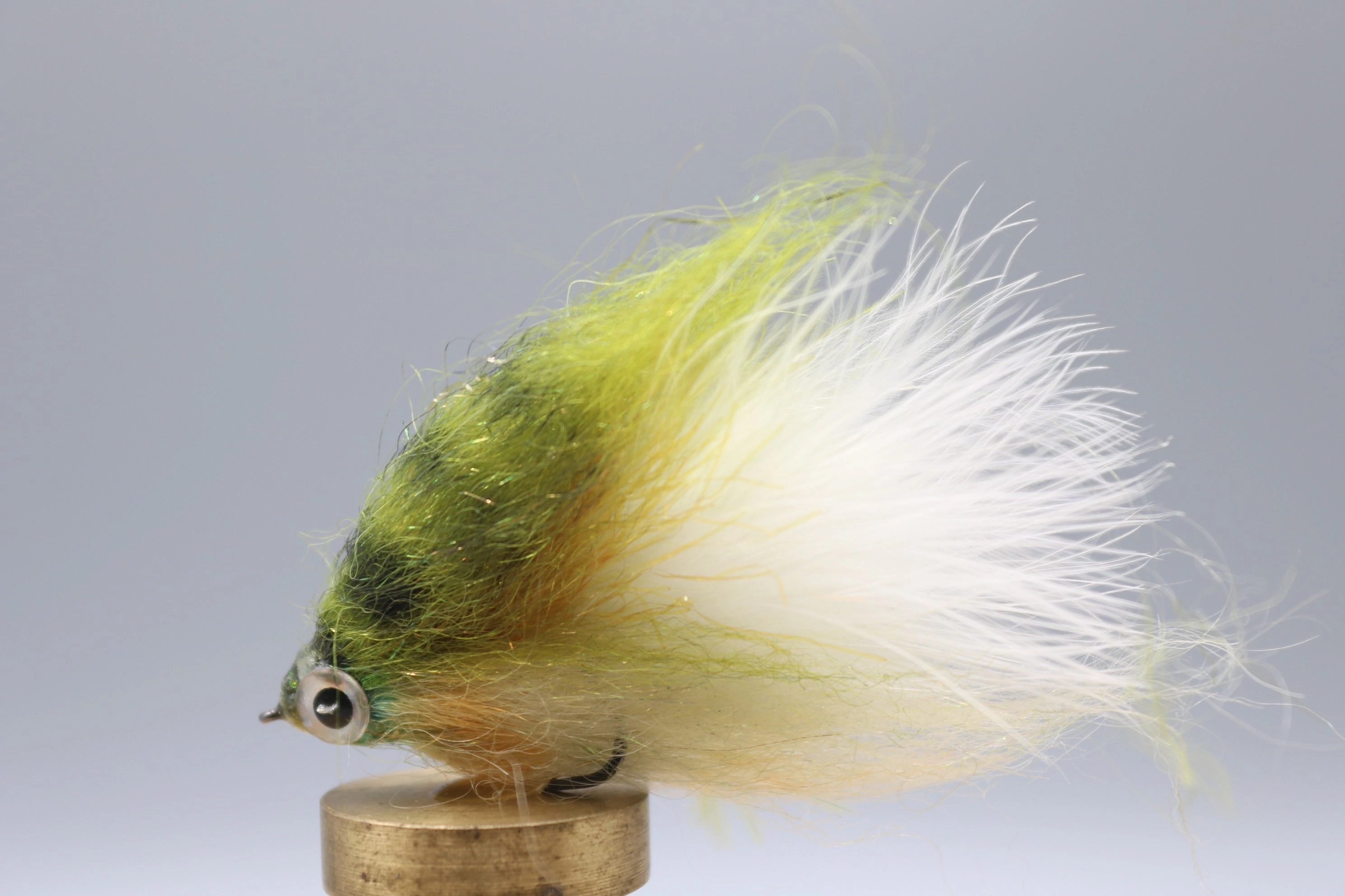 Low Fat Minnow