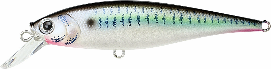 Lucky Craft Pointer 78 Suspending Shallow Jerkbait