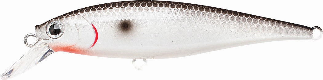 Lucky Craft Pointer 78 Suspending Shallow Jerkbait