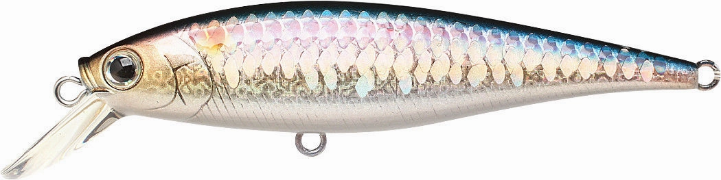 Lucky Craft Pointer 78 Suspending Shallow Jerkbait